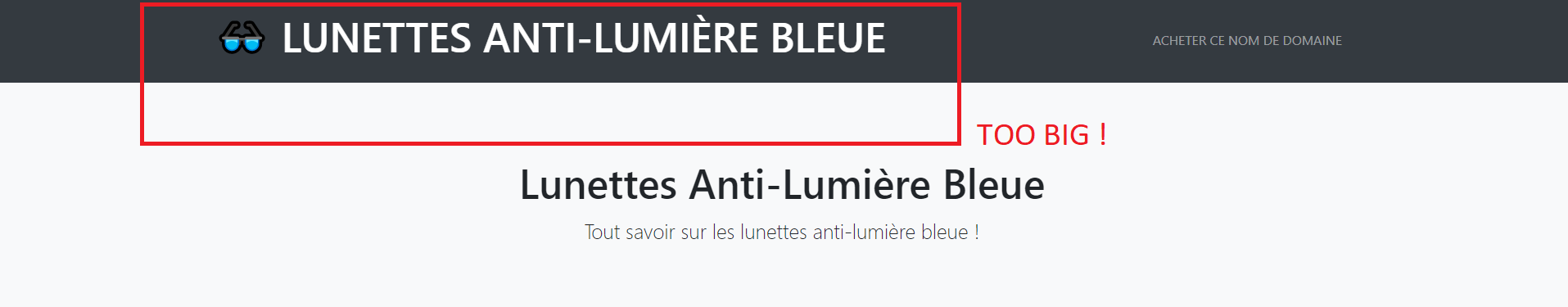 What it does in the menu.png