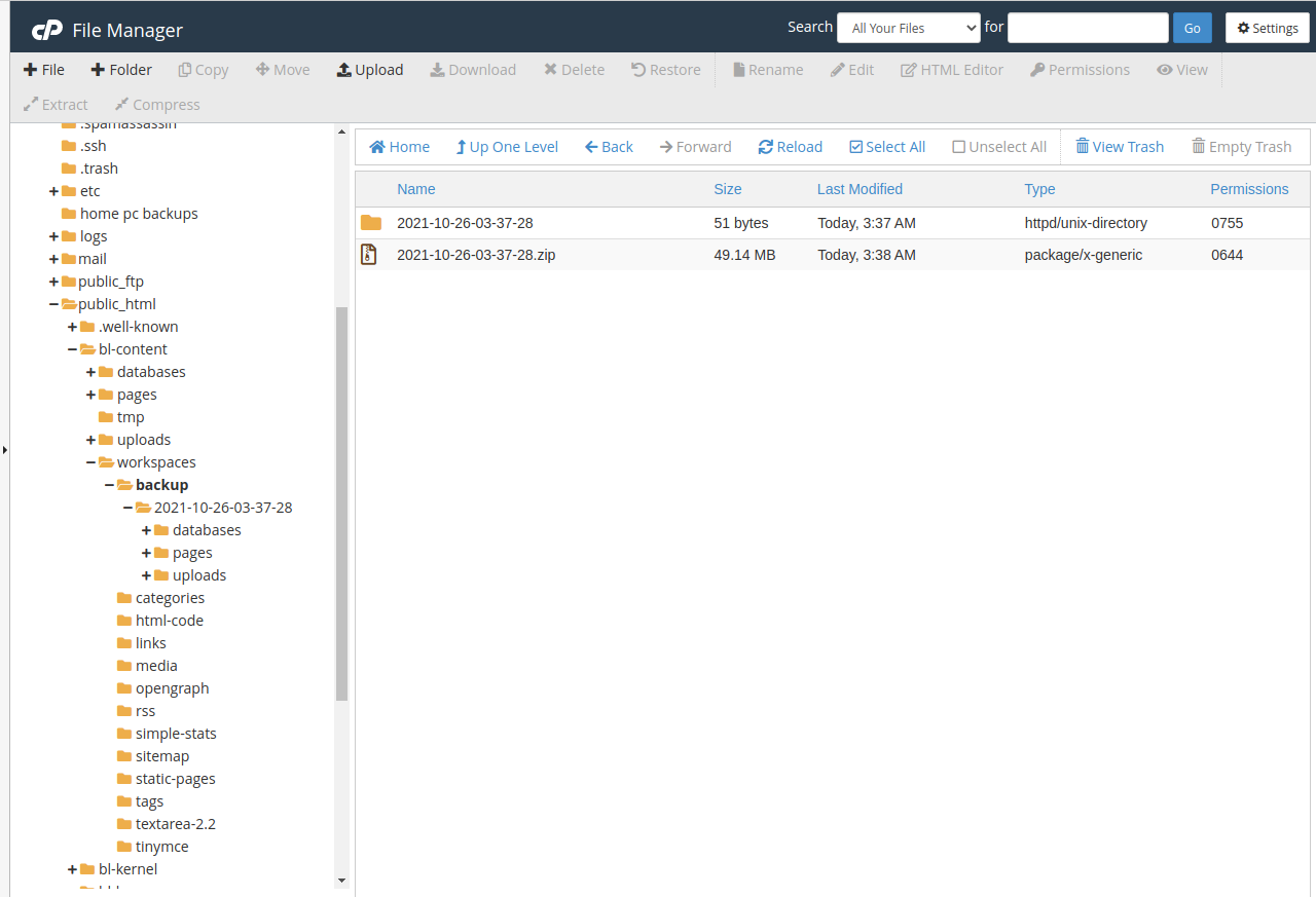 Bludit files screenshot.png